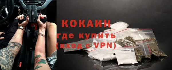 прущие грибы Пестово