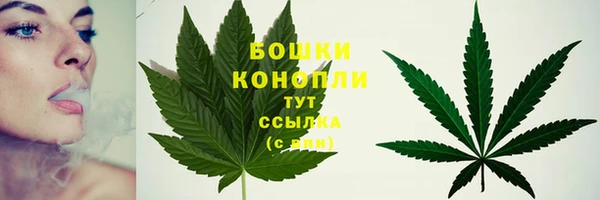 герыч Осинники