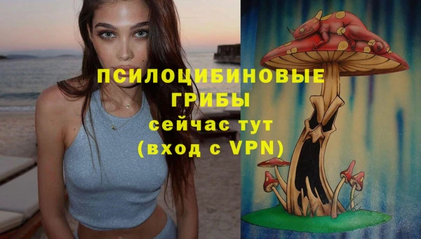 герыч Осинники
