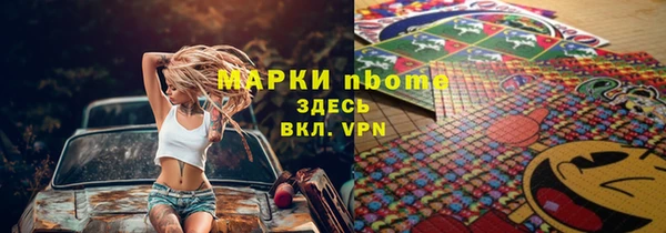прущие грибы Пестово