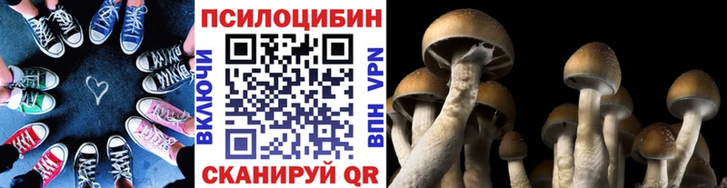 Псилоцибиновые грибы Psilocybine cubensis  Артёмовский 